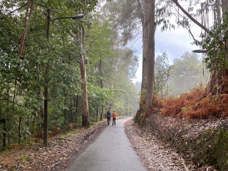 rutas del camino de santiago