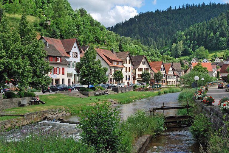 selva negra alemania imagenes