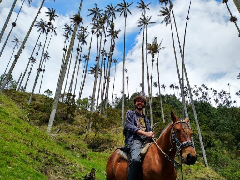 ruta valle del cocora colombia