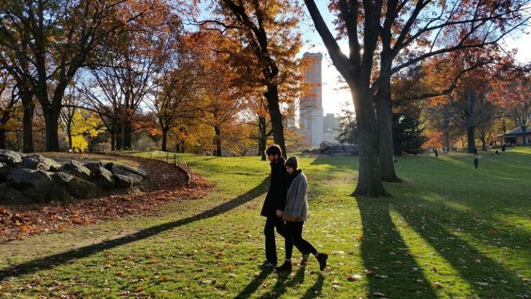 Nueva york central park