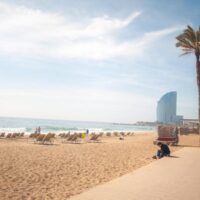Qué ver en la Barceloneta, el barrio marinero y popular barceloneta restaurante