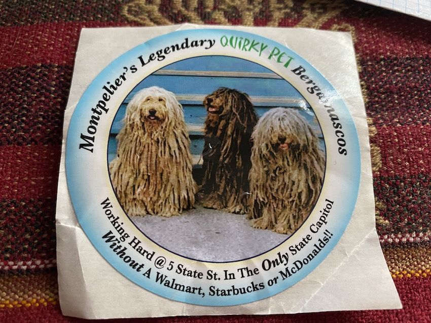 pegatina del perro de montpelier