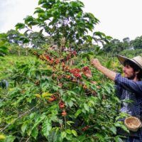 ▷ 11 EXCURSIONES desde MEDELLÍN para este año mejores excursiones desde medellin