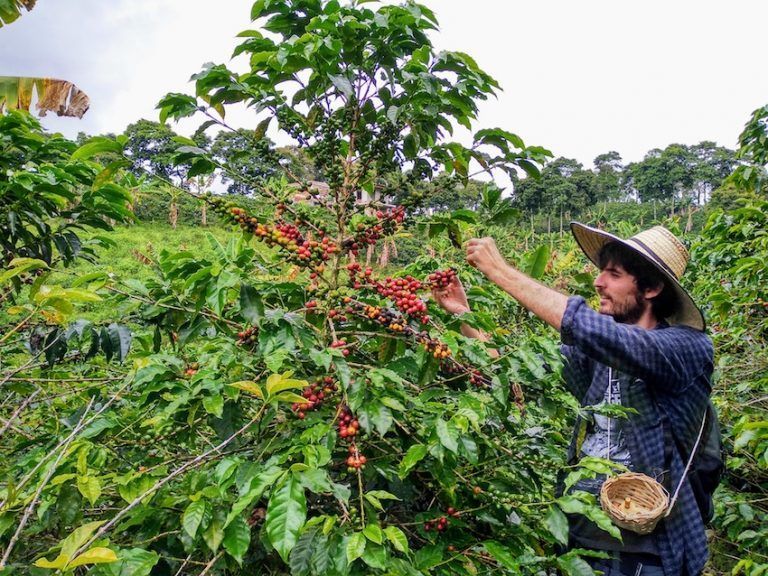 mejores excursiones desde medellin
