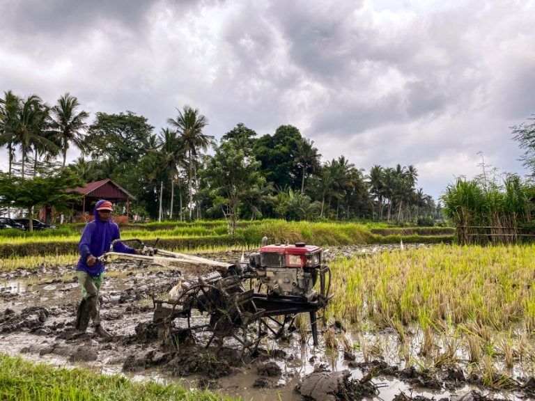 presupuesto completo para bali
