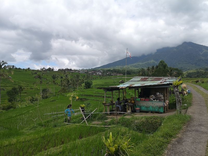 viajar por bali consejos