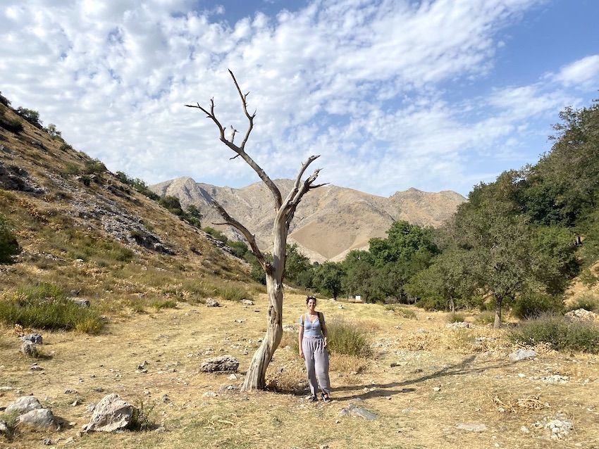 zona rural uzbekistan