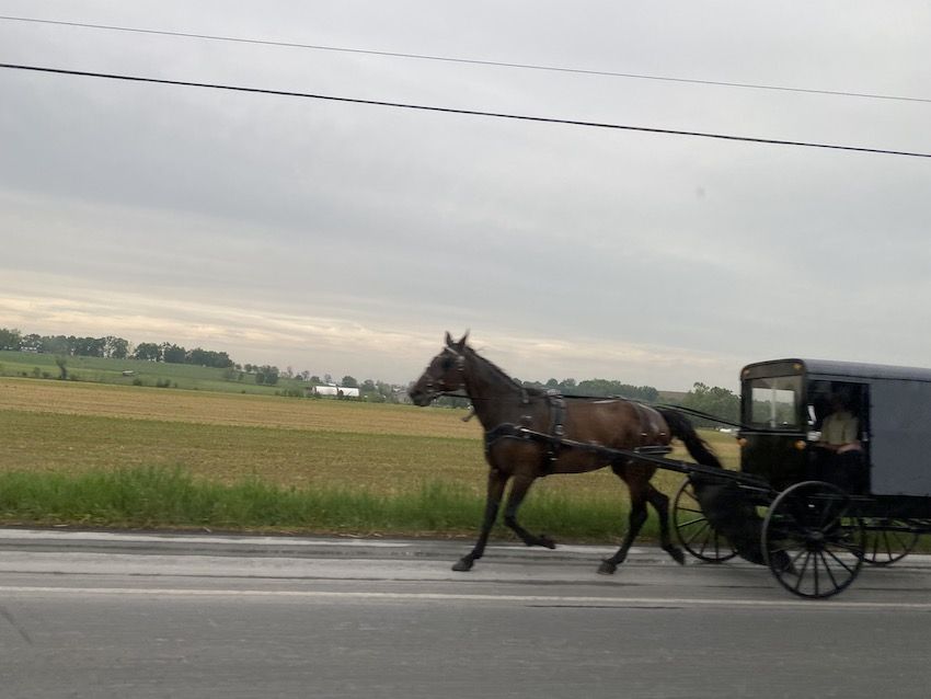 zona amish