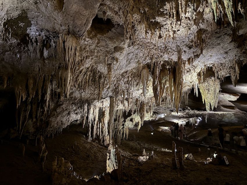 cuevas georgia