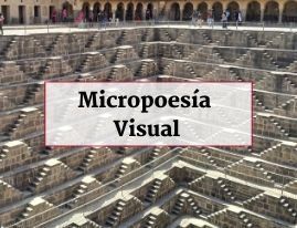 Micropo-1.jpg